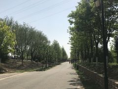 -永定河休闲森林公园