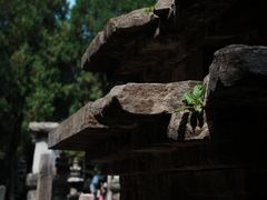 -四门塔风景区