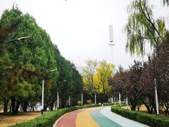 -青龙湖公园