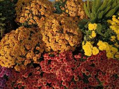 -螃蟹岬(地铁站)