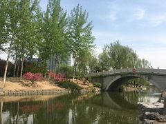 -大兴滨河森林公园