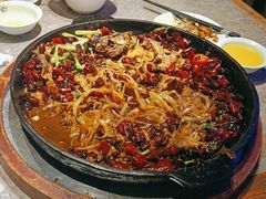 -老板恋上鱼(恒隆广场店)