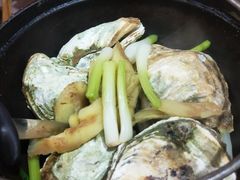 鲜焗生蚝-九道菜有鸡鱼头(石鼓路店)
