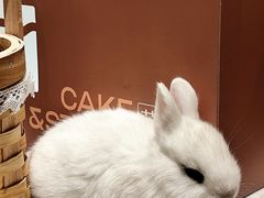 -大象厨房(重庆道店)