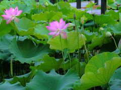 -贵阳蓬莱仙界