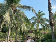 -三亚亚龙湾雅高铂尔曼别墅度假酒店