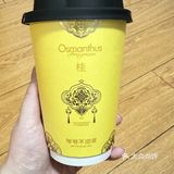 爷爷不泡茶，下午茶喝一杯咸宁桂花