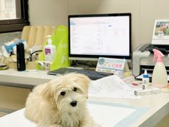 -瑞鹏宠物医院·爱宠堂·骨外专科(西荷分院)