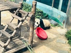 -大连森林动物园