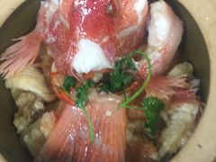 -大班家政月嫂育儿嫂(深圳NO.1店)