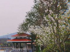 -月牙潭公园
