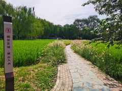 -北坞公园