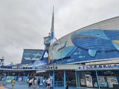 -海合安青岛极地海洋公园