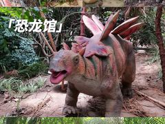 -呀路古热带植物园