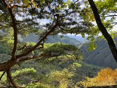 -五女峰国家森林公园