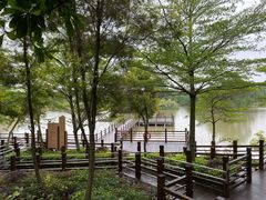 -大湾区中央湿地公园