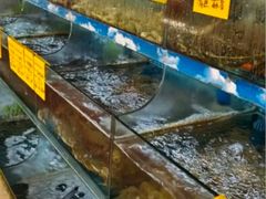 -坛南湾阿强农家乐.海鲜大排档老字号(福州地标美食店)