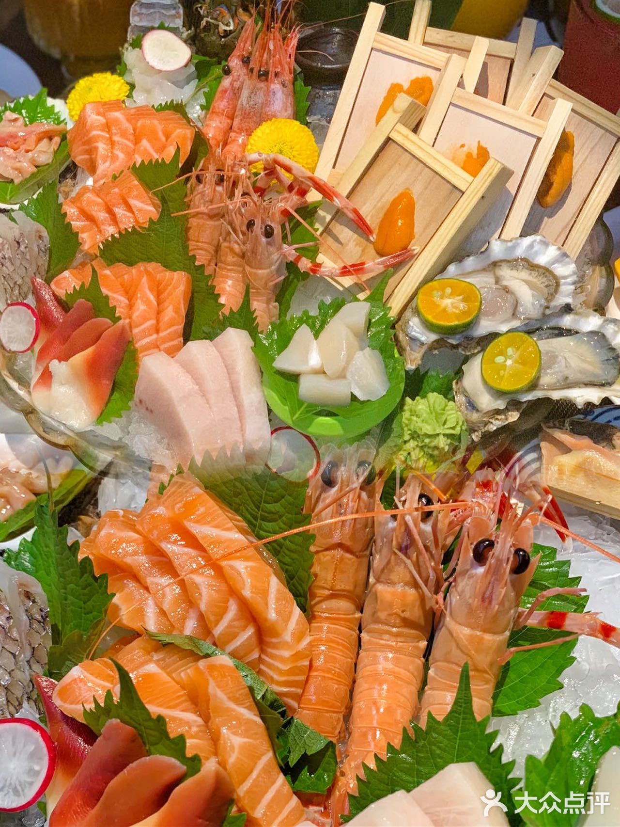 海胆自由的感觉也太赞了吧[胜利]