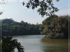 -深圳仙湖植物园