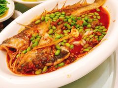 -苏启渔港(云南北路店)