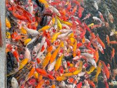 -番禺宾馆丽苑厅