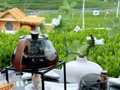 -龙坞茶村