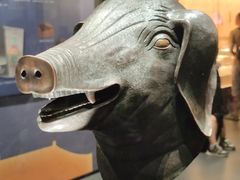 -广西壮族自治区博物馆