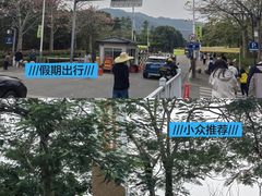 -风云岭森林公园