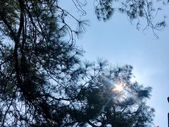 -缙云山景区