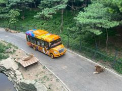 -大连森林动物园