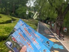 -诸城市恐龙博物馆