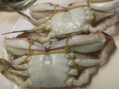 -深海壹品海鲜自助餐厅(吾悦广场店)