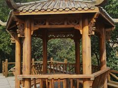 -大岭沟猕猴桃谷风景区