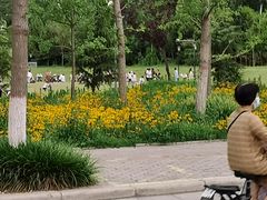 -禹州森林植物园