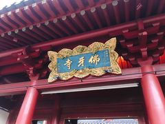 -新加坡佛牙寺龙华院