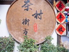 -天目湖山水园
