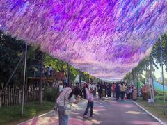 -祥源·阜阳生态乐园