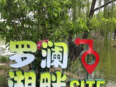 -稻香湖公园