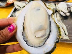 -蚝专家(北滘店)