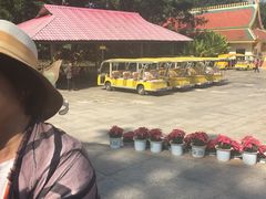 -西双版纳勐泐文化旅游区