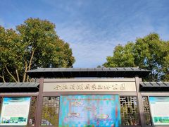 -合肥滨湖国家森林公园