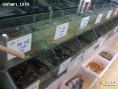 水产区-海岛渔村大酒店(云霄路店)