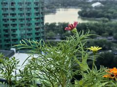 -漪龙台·B26 Rooftop Lounge