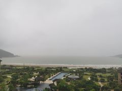 -金海湾海鲜排档(朱家尖店)