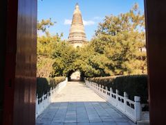 -唇辣号重庆老火锅(石担路店)