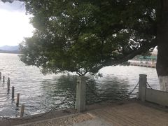 -西湖游船