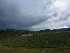 -御道口草原森林风景区