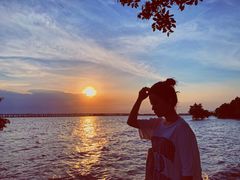 -宝安西湾红树林湿地公园