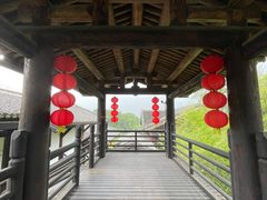 -大唐贡茶院
