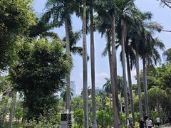 -南宁南湖公园